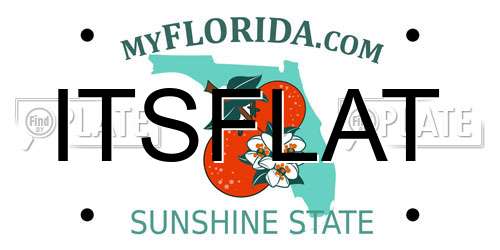 ITSFLAT Florida License Plate
