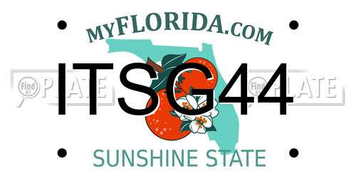 ITSG44 Florida License Plate