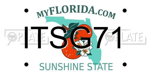 ITSG71 Florida License Plate