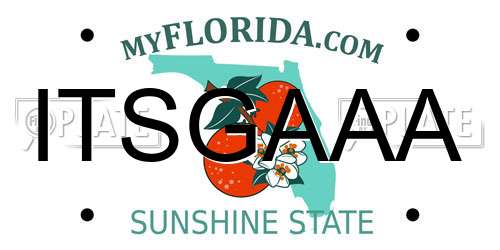 ITSGAAA Florida License Plate