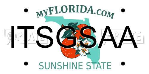 ITSGSAA Florida License Plate