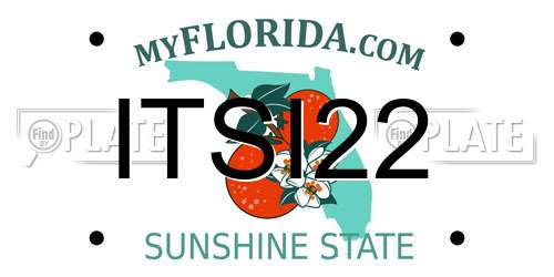 ITSI22 Florida License Plate