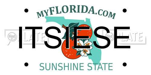 ITSIESE Florida License Plate