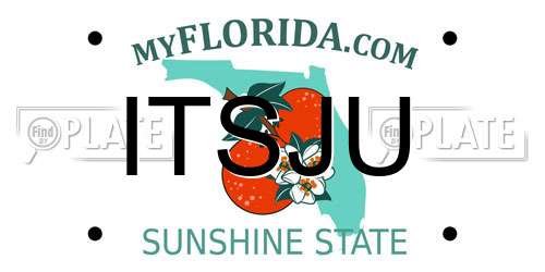 ITSJU Florida License Plate