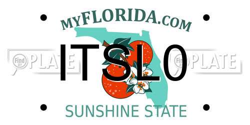 ITSL0 Florida License Plate
