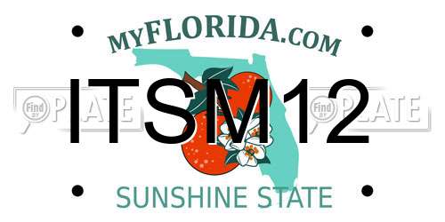 ITSM12 Florida License Plate