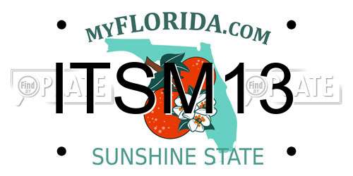 ITSM13 Florida License Plate