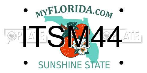 ITSM44 Florida License Plate