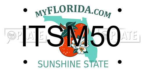 ITSM50 Florida License Plate