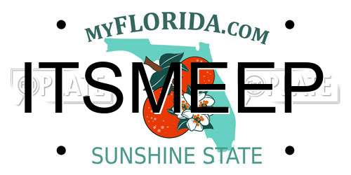 ITSMEEP Florida License Plate
