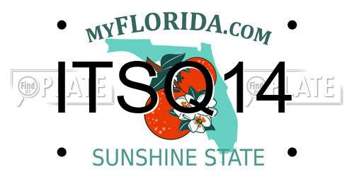 ITSQ14 Florida License Plate