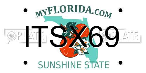 ITSX69 Florida License Plate