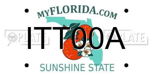ITT00A Florida License Plate