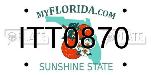 ITT0870 Florida License Plate