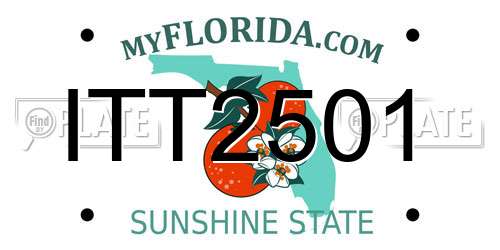 ITT2501 Florida License Plate