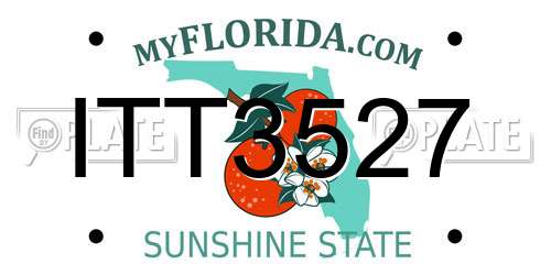 ITT3527 Florida License Plate