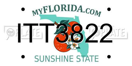 ITT3822 Florida License Plate
