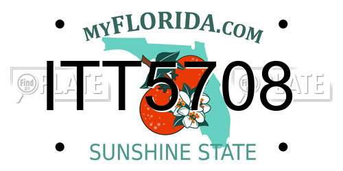ITT5708 Florida License Plate