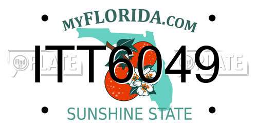 ITT6049 Florida License Plate