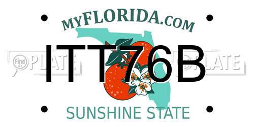 ITT76B Florida License Plate