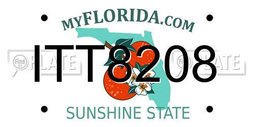 ITT8208 Florida License Plate