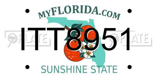 ITT8951 Florida License Plate