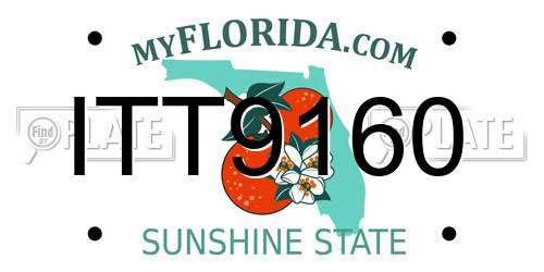 ITT9160 Florida License Plate