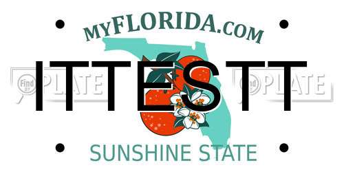 ITTESTT Florida License Plate