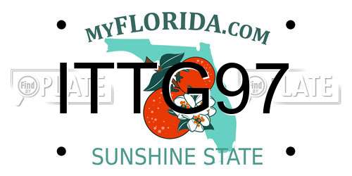 ITTG97 Florida License Plate