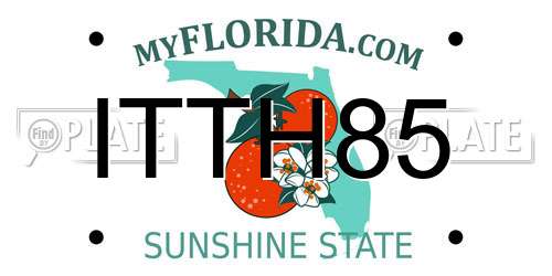 ITTH85 Florida License Plate