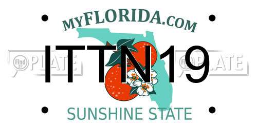 ITTN19 Florida License Plate