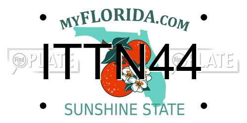 ITTN44 Florida License Plate