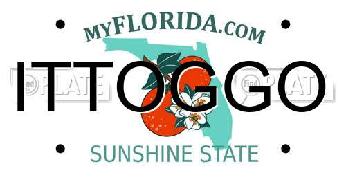 ITTOGGO Florida License Plate