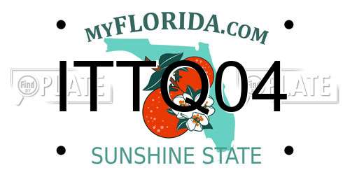 ITTQ04 Florida License Plate
