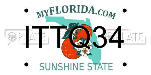 ITTQ34 Florida License Plate