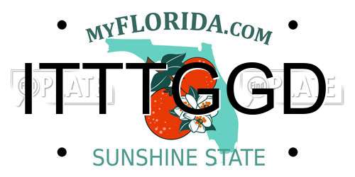 ITTTGGD Florida License Plate