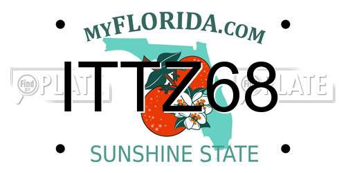 ITTZ68 Florida License Plate