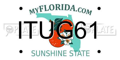 ITUG61 Florida License Plate