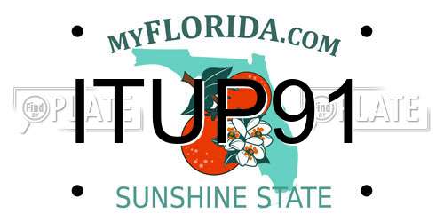 ITUP91 Florida License Plate