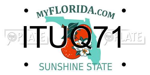 ITUQ71 Florida License Plate