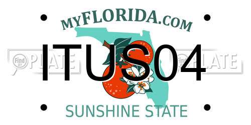 ITUS04 Florida License Plate