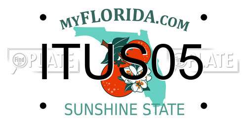 ITUS05 Florida License Plate