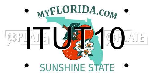 ITUT10 Florida License Plate