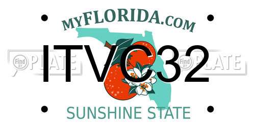 ITVC32 Florida License Plate