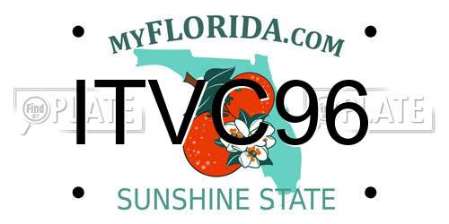 ITVC96 Florida License Plate