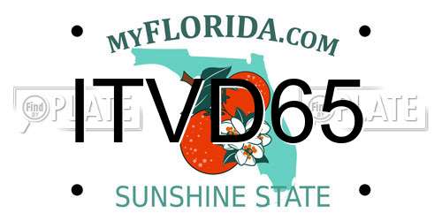 ITVD65 Florida License Plate
