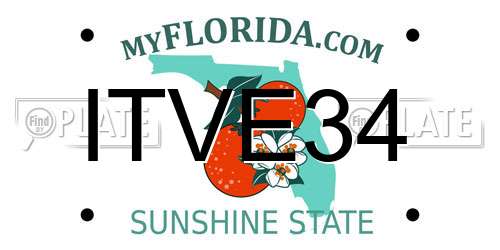 ITVE34 Florida License Plate