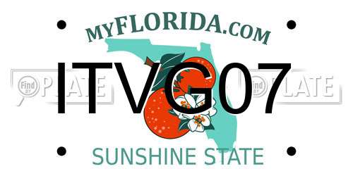 ITVG07 Florida License Plate