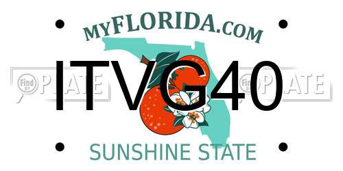 ITVG40 Florida License Plate