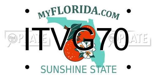 ITVG70 Florida License Plate